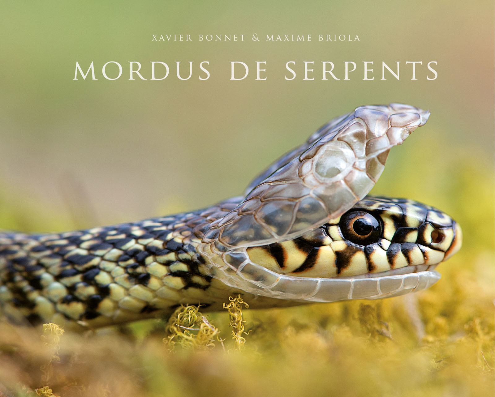 Image du site Futura Sciences
